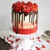 Chocolate Red